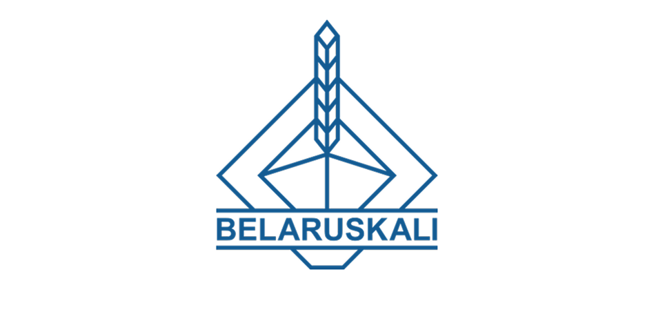 Partner's logo