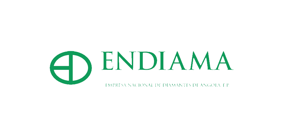 Partner's logo