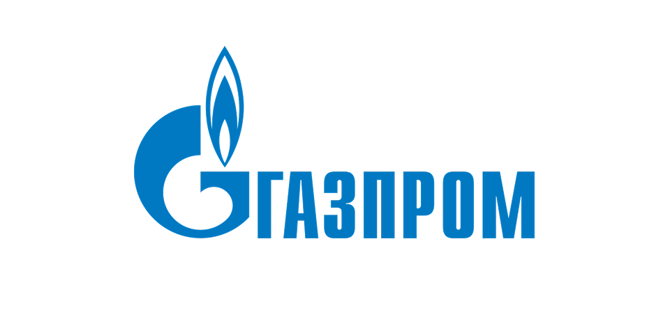 Partner's logo