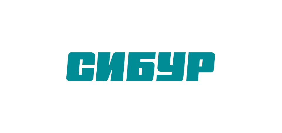 Partner's logo